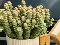 -丽泽山庄·生态怀柔菜·虹鳟鱼(红螺寺店)