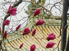 -潭柘寺景区