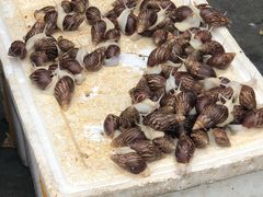 -五七小李子油焖大虾(总店)