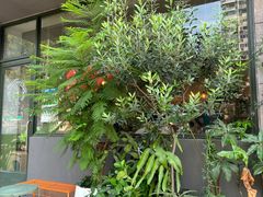 -三花屋 Mihhanaya