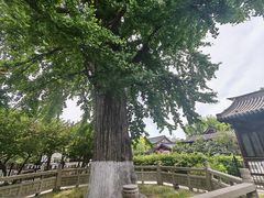 -常熟方塔园