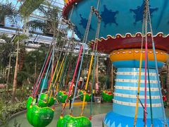 -南宫五洲植物乐园