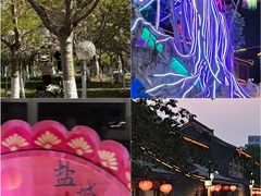 -盐城丹顶鹤湿地生态旅游区
