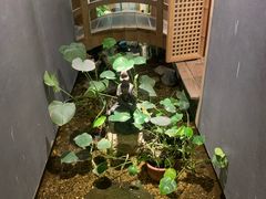 -邈墨茶馆(凤起路店)