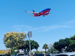 -In-N-Out Burger(LAX)