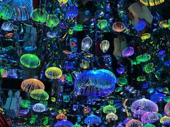 -上海梵高星空艺术馆(南京路旗舰店)