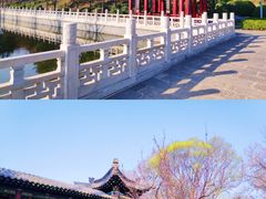 -晋祠公园