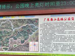 -南山森林公园