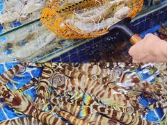 -大东海海鲜酒楼(渔人码头总店)