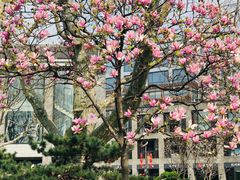 -西湖外事游船(湖滨二公园外事游船码头)