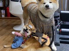-YCHL Studios健身工作室(市二宫店)