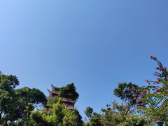 -清溪大王山森林公园