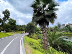 -枫香湖儿童公园