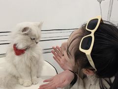 -白夜2D咖啡馆