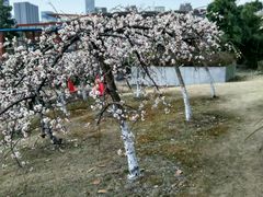 -白塘生态植物园