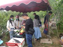-大自然农场蔬菜草莓采摘园