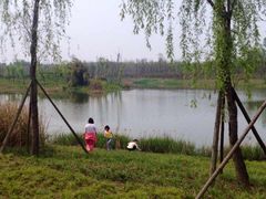 -白鹭湾湿地公园