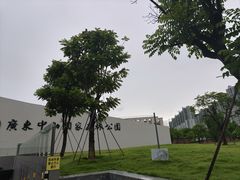 -中山市树木园