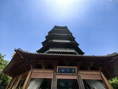 -西湖外事游船(花港观鱼码头)