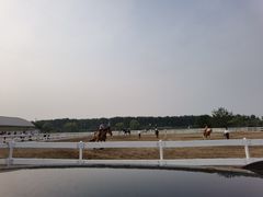 -月河湾马术俱乐部(朝阳店)