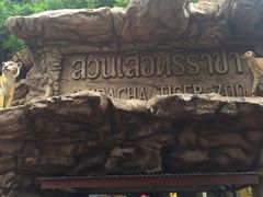 -是拉差龙虎园(Permanently closed)