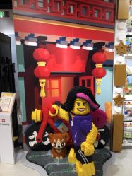 -乐高授权专卖店(西单大悦城店)