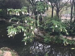 -成都市活水公园