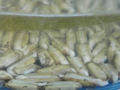-晓伟海鲜家常菜