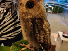 -清迈夜间动物园