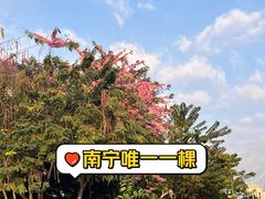 -南宁南湖公园