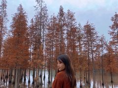 -白鹭湾湿地公园