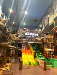 -卡通尼·Safari非洲探索乐园·生日会(金桥国际商业广场店)