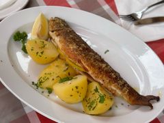 -布劳伽斯特豪夫哈尔施塔特宾馆