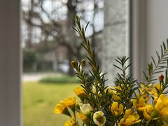 -上海虹桥迎宾馆