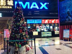 -万达影城(锦华万达广场IMAX店)