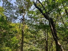-古龙峡云天玻霸