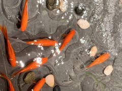 -四季民福烤鸭店(前门店)