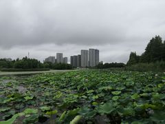 -苏州东太湖生态园