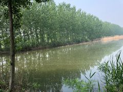 -微山湖红荷湿地景区