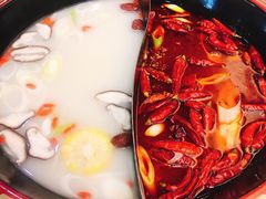 鸳鸯锅底-京门活鱼馆·鱼火锅(百子湾（原红庙）店)