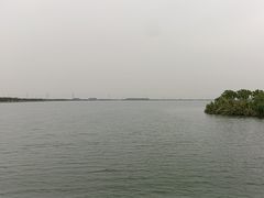-漕湖湿地公园