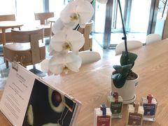 -Blueglass酸奶(财富购物中心店)