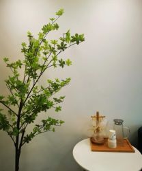 -Doris多里斯半永久纹眉·SMP纹发·发际线