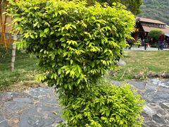 -龙潭生态旅游度假区