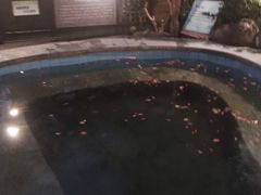 -宁海森林温泉