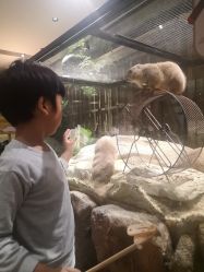 -造物庄园 萌宠纪(苏州湾歌林公园店)