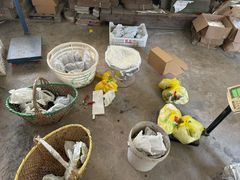 -马陆小张葡萄园农家乐