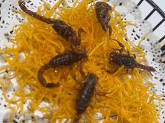 -山东宾馆·齐鲁苑餐厅