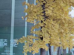 -禧室Joyous Lounge(禧园店)