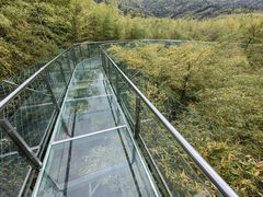 -陶祖圣境风景区
